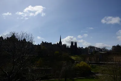 DSC_7334 (Large).JPG